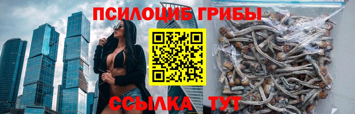 Галлюциногенные грибы Cubensis Симферополь