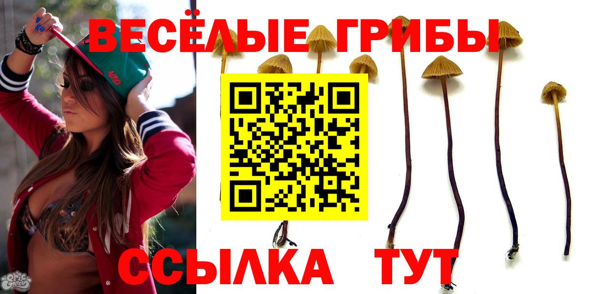 наркотики  Вход с VPN  Симферополь  Галлюциногенные грибы Psilocybine cubensis 